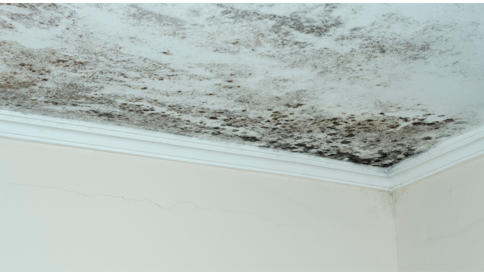 Expert en bâtiment sur toute la France Expert en bâtiment sur toute la France