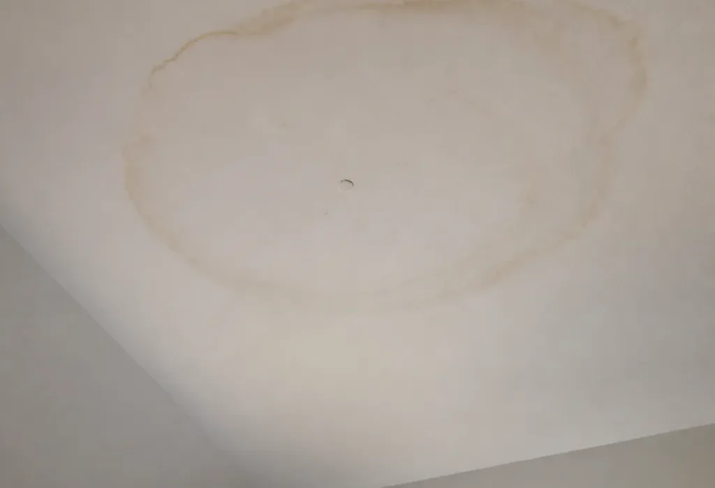 "Plafond